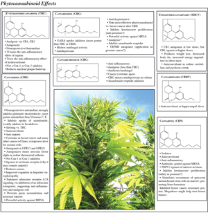 Phytocannabinoid Effects