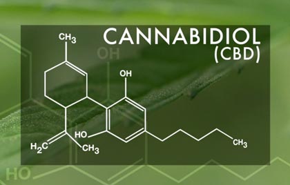 CBD Neuroprotective